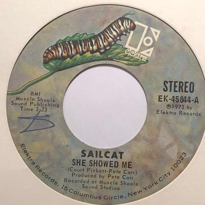 7inch Record SAILCAT  She Showed Me EK45844 Elektra 1973 US Rock Used