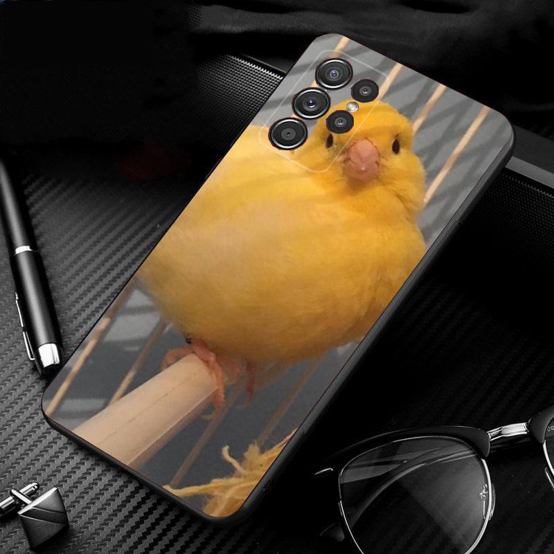 

Phone Case For Samsung Galaxy S25 S24 S23 S22 S21 Ultra S24 S23 S22 S21 S25 Plus S24 S20 FE Cockatiel bird S25Plus