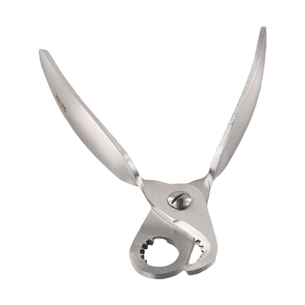 1x Snail Tail Cutting Tool Stainless Steel Escargot Tail Removal Tool Snail Scissor Multitool For Most Kitchens Tools