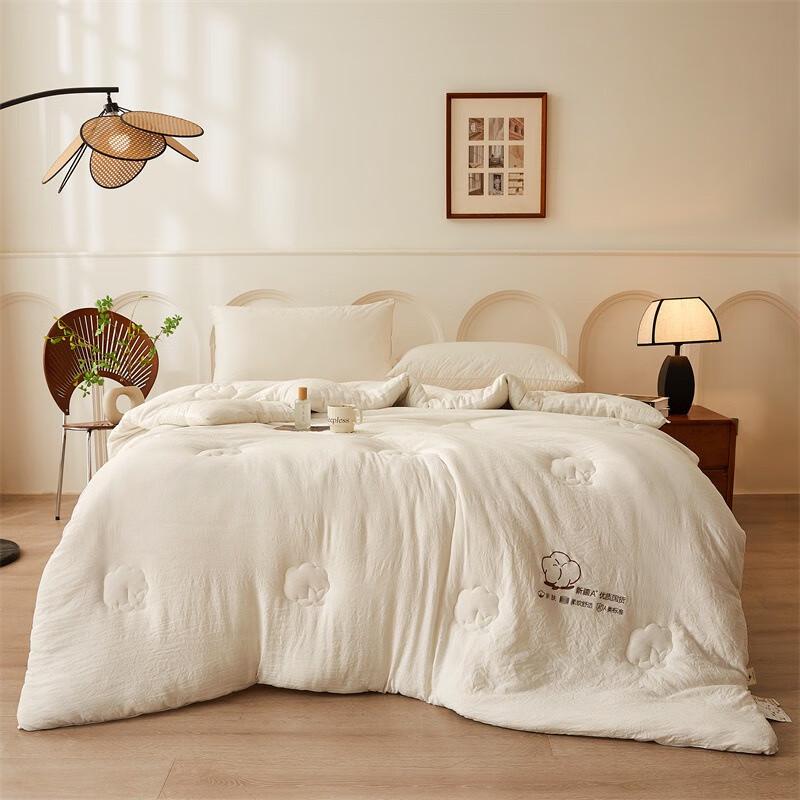 JieLiYa Xinjiang Washed Cotton Winter Quilt