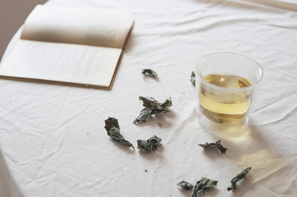 KINTO LT Tea Bag 21241 Cup, 260ml, Heat-Resistant Glass,