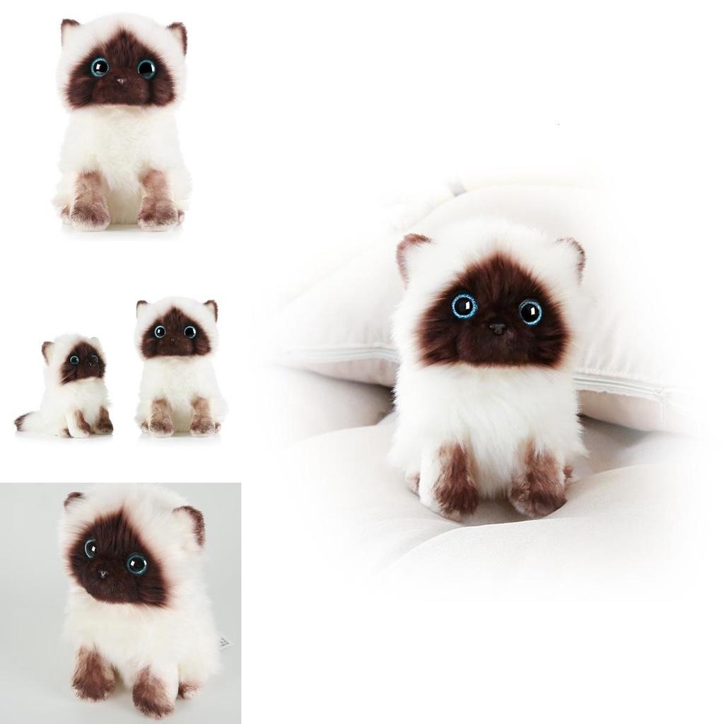 20cm/26cm Siamkatze Plüschtier Niedlich Weich Geschenk Blaue Pailletten Augen Puppen