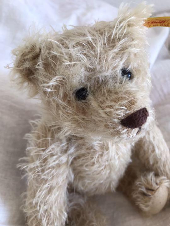 [USED] Steiff Teddy Bear
