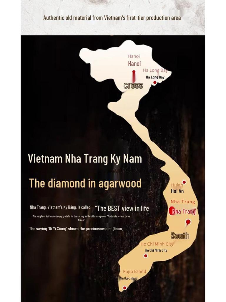 Handmade Nha Trang Purple Qinan Agarwood Bracelet - Natural Texture & Scent