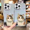 Students Apply iPhone14/15plus Cute Cat Mirror Mobile Phone Case Apple 16Pro Girls Makeup Mirror