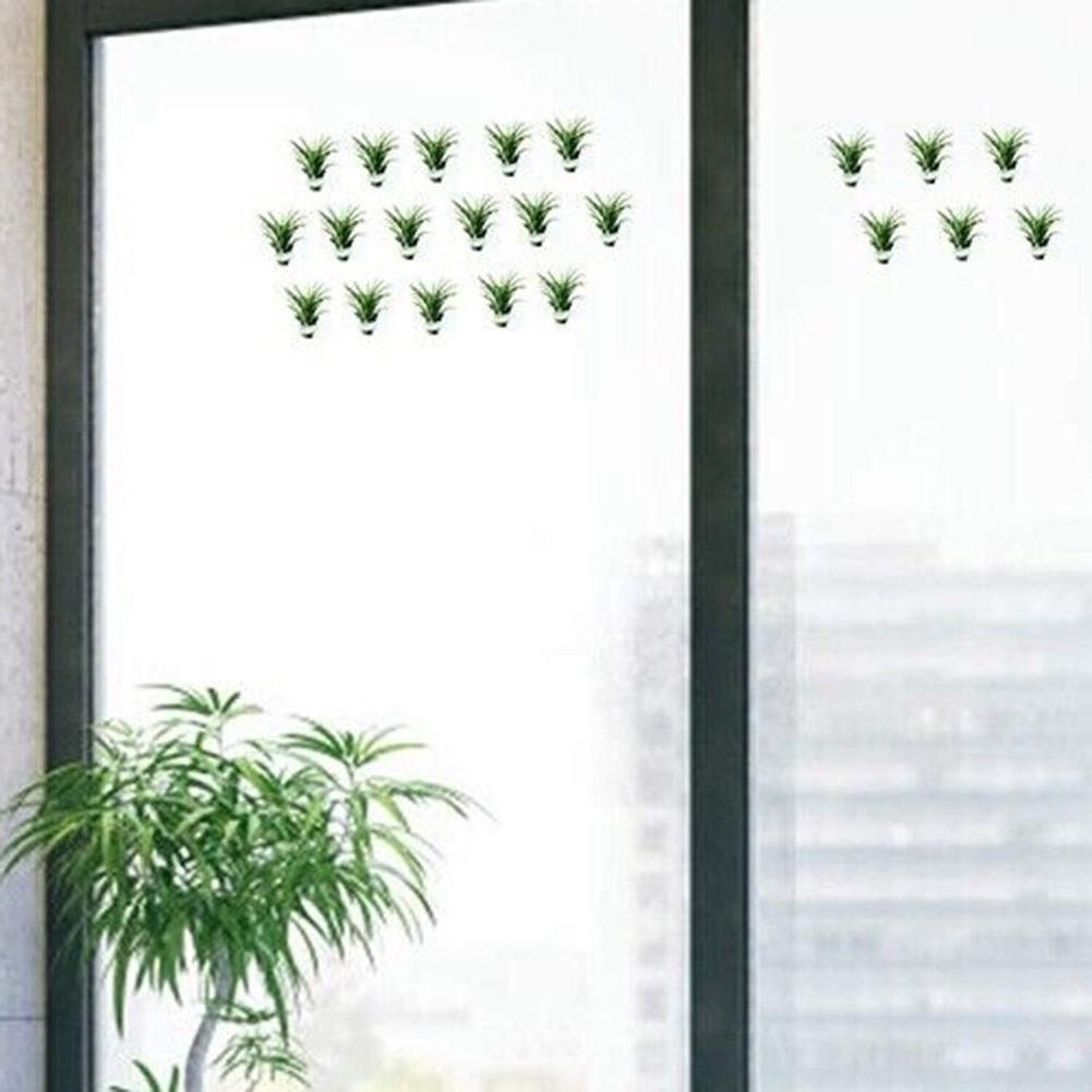 Office Plant Holder Reusable Strong Suction Tillandsia Stands
