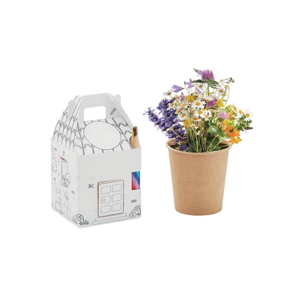 MidOcean Fullhouse House Seed Growing Kit