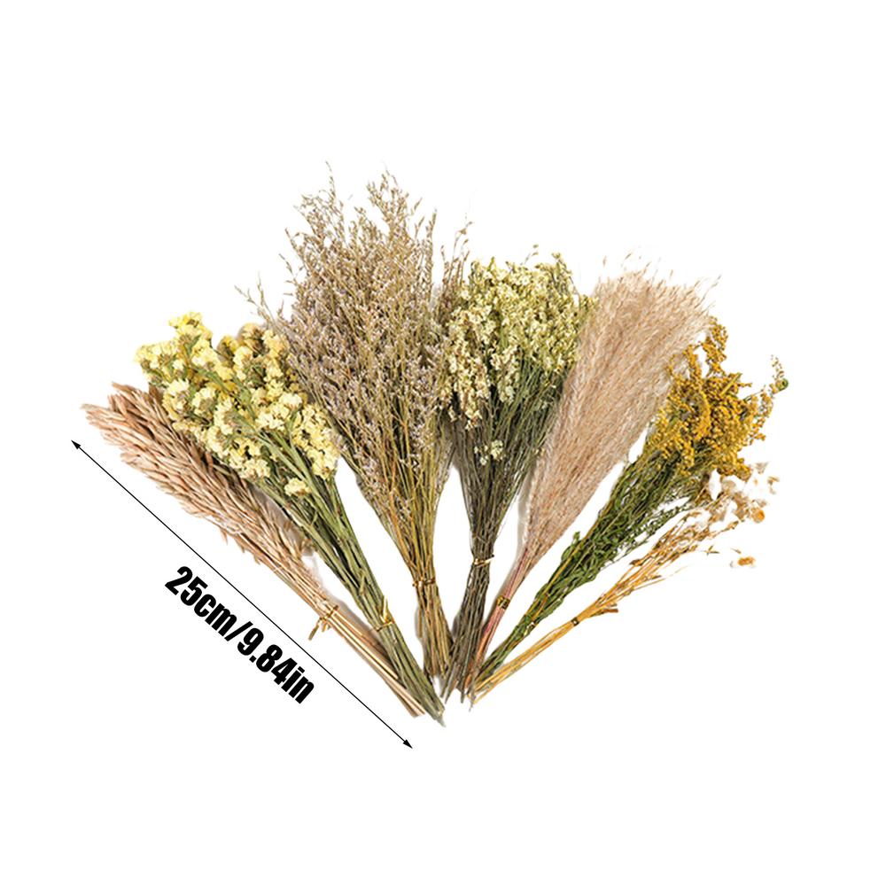 

Натуральные сушеные цветы Подстилка для хомяка Принадлежности для ландшафтного дизайна клетки для мелких животных Аксессуары для хомяка Подстилка для мелких питомцев Декор