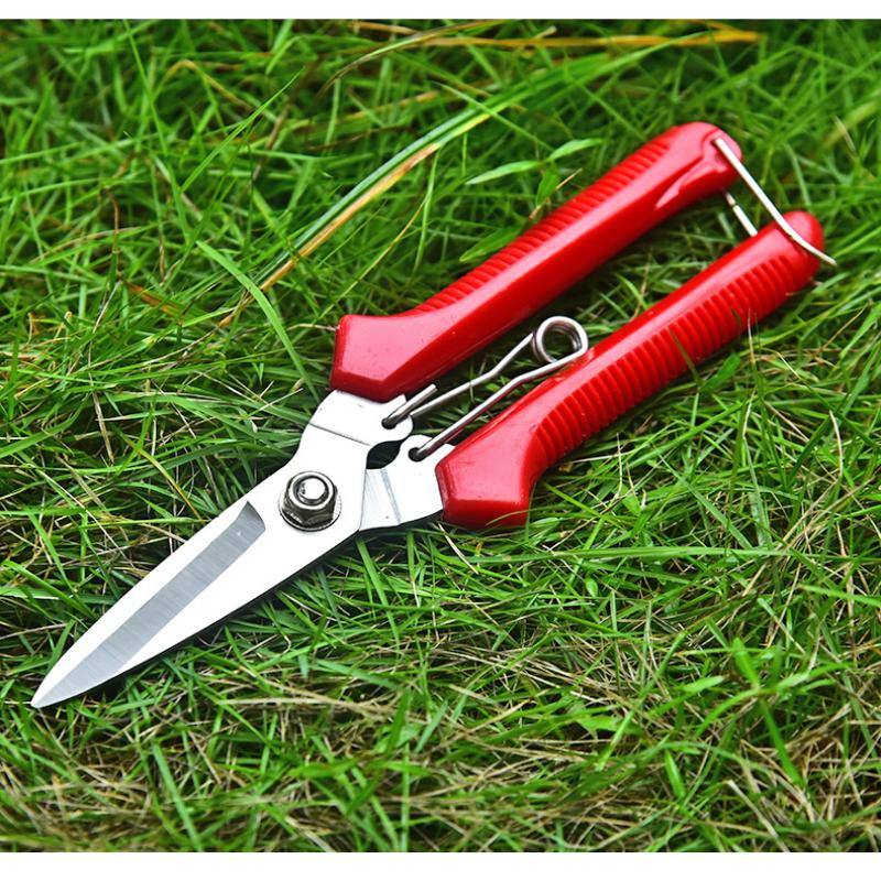 Garden Scissors Straight Head Pruning Shears Non-slip Handle Stainless Steel Outils Manuels Household Bonsai Pruing Scissors