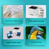LANXUM A4 Color Secure Enhanced Printer CN plug (adapter included)