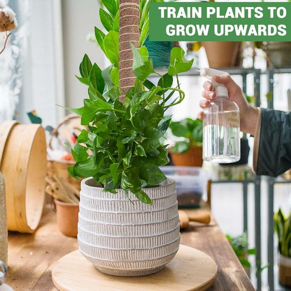 Grow Upwards Moss Pole Sturdy Moss Sticks Durable Plant Support Stakes  Indoor Climbing Plants