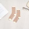 It's Socks Slim Striped Socks Ivory Orange_FS0825013