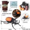 4D Insect Model Toy Set: Ladybug, Stag Beetle, Centipede, Ant, Fly, Mantis