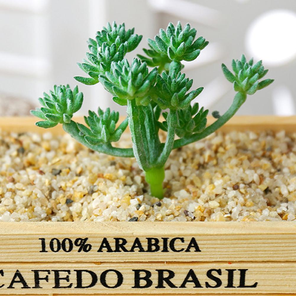 Simulated Succulent Flocking Green Plant Flower Head