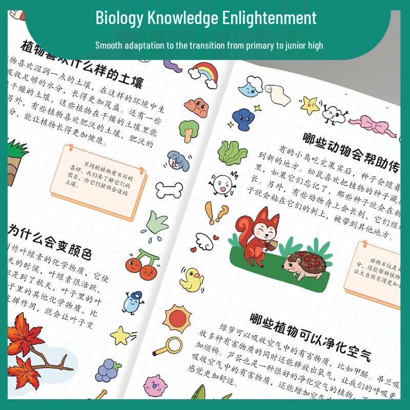 Manga Fun Enlightenment Series for Kids