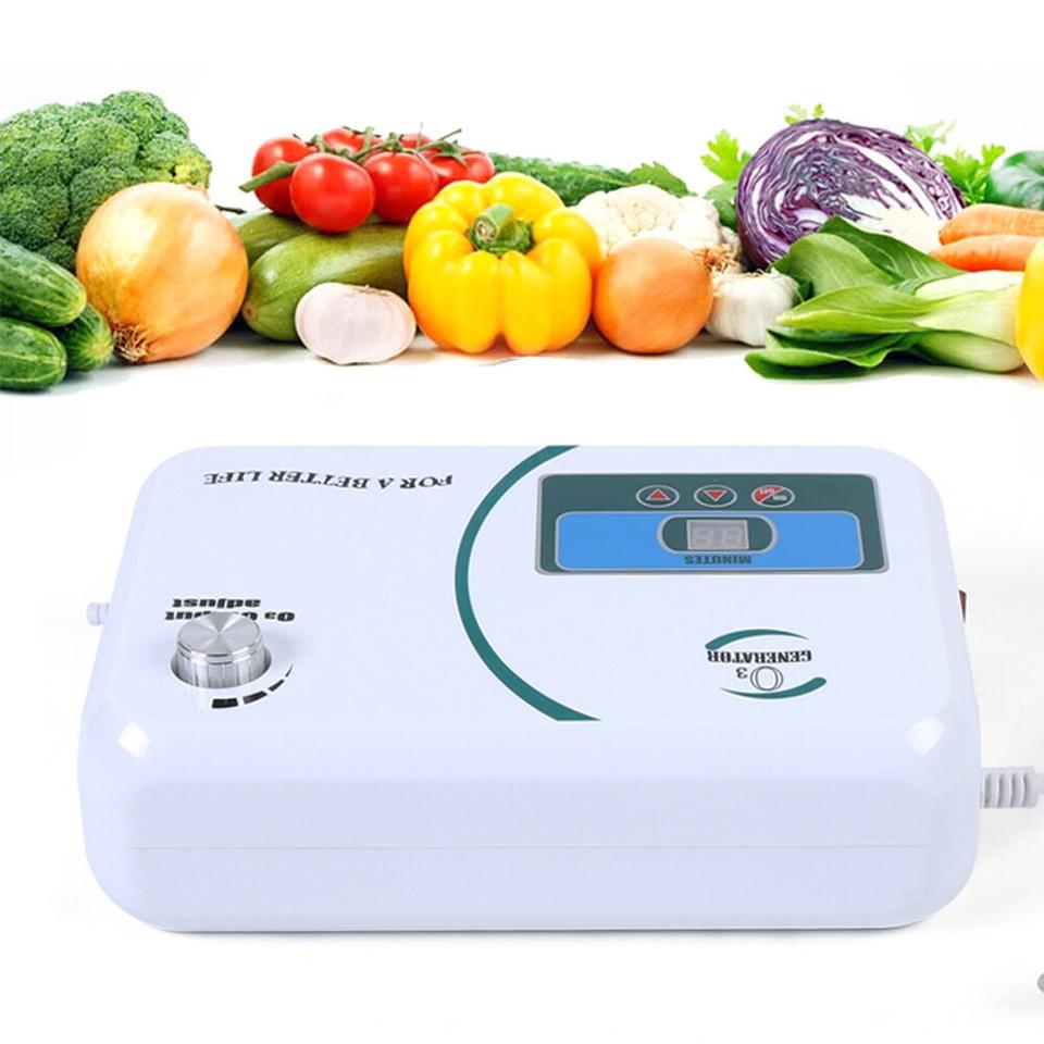 500mg/h Ozone Generator, 220V Ozonator Water & Food Purifier for Fruits, Vegetables, Meat
