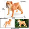 Solid Cute Animal Models: Squirrel, Shiba Inu, Teddy, Hamster, Panda, Flying Squirrel Car/Desktop Ornaments