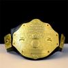 World Heavyweight Champion Belt Mask Cosplay Prop Gold Wrestling Waist Title Gladiator Waistband Mascaras Halloween Party Custom