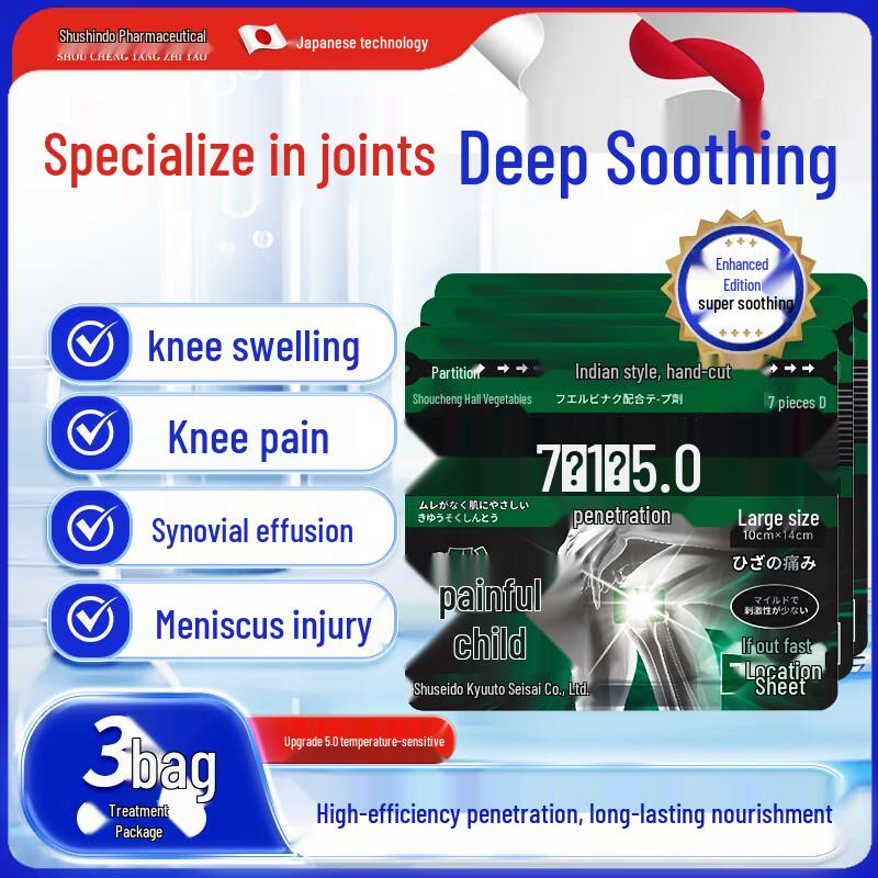 Shouchengtang Warming Pain Relief Patches