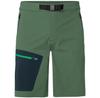 Брюки VAUDE Men's Badile Shorts Badile Shorts Woodland/Dark Sea Зеленый