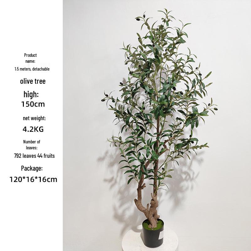 Olive Tree Potted Plant - Indoor Decor Simulation for Living Room