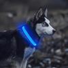 Coleira e Guia LED Mágica Luminosa para Cães e Gatos 2025: Presente de Segurança Noturna para Pet