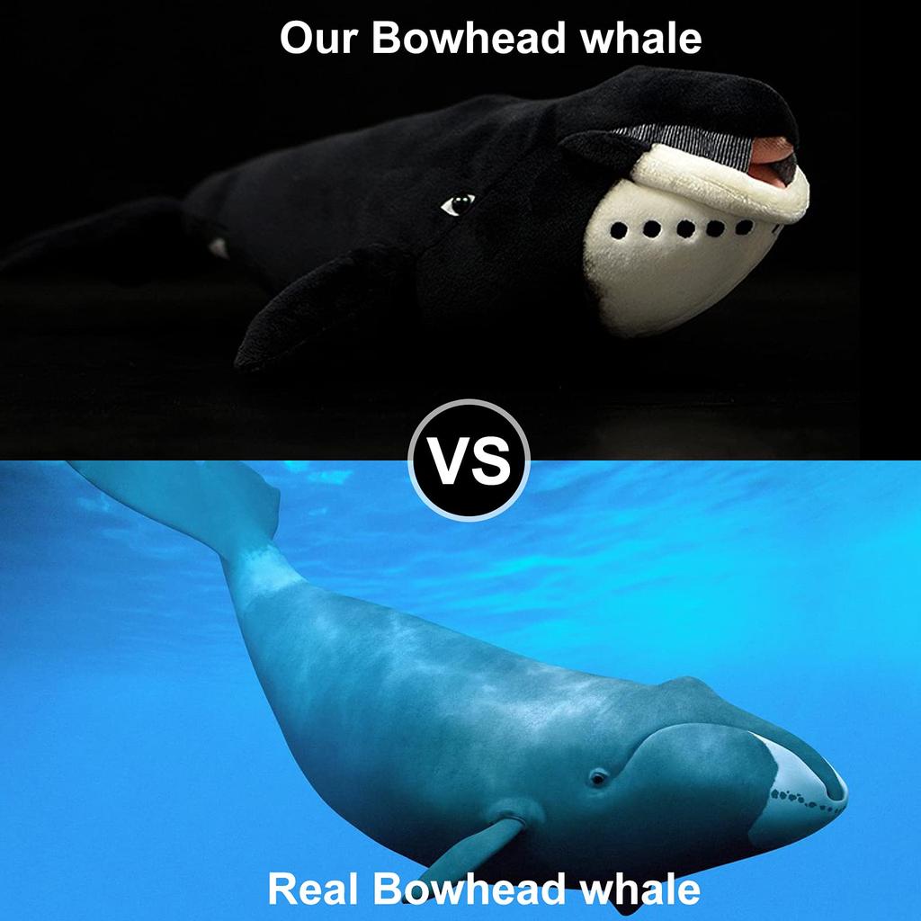 ZHONGXIN MADE Deep Sea Fish Bowhead Whale Plush Toy Black Long Lifelike Whale Stuffed Super Soft Realistic Ocean Simulation Doll Pillow Stuffed Toys