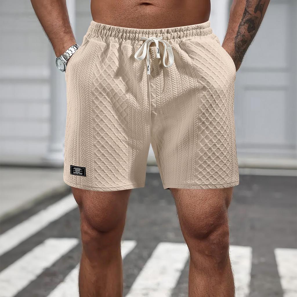 Shorts For Mens  Cozy Texture Embroidered Casual Stretch Elastic Waist Shorts With Pockets