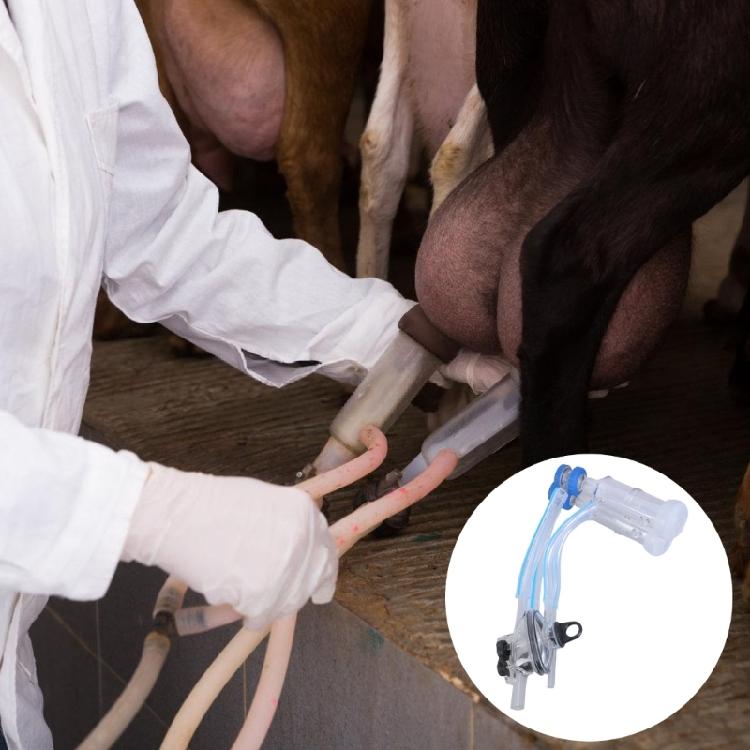 Vakuová pumpa Dojicí strukové kalíšky pro ovce Zajišťující pohodlné dojení Příslušenství pro dojení kozího mléka