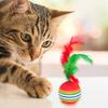 12pcs Funny Rainbow Colored Toy Balls Kitten Activity Toy w/Feather Pet Supplies