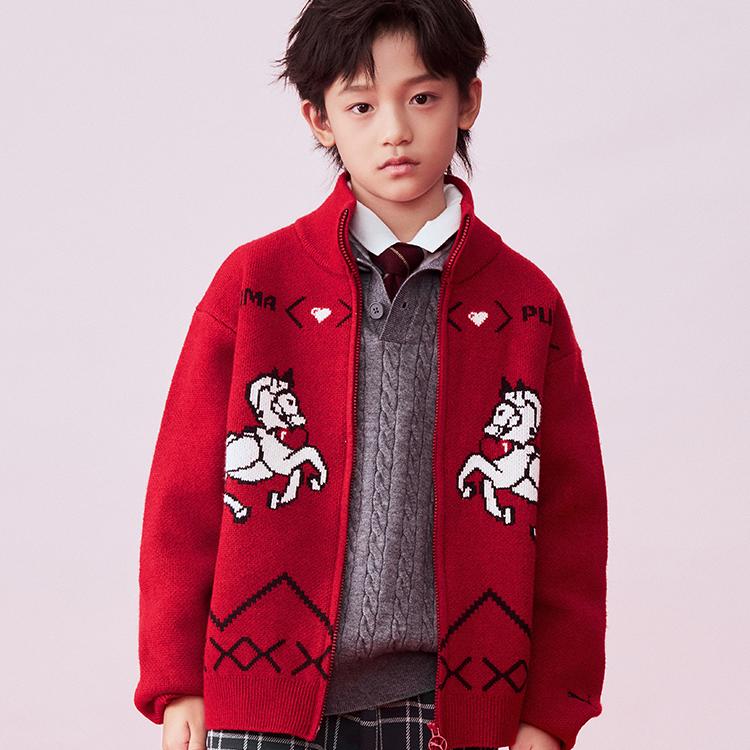 PUMA Kids Sweaters Moderate 353126103202-60201