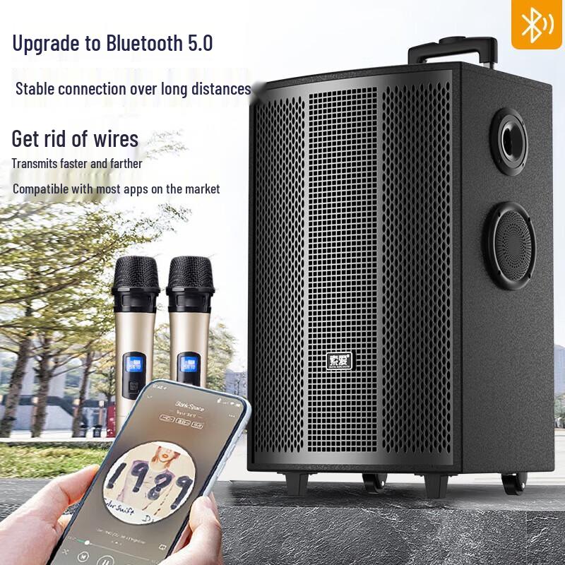 Suoai 12-inch Portable Bluetooth KTV Speaker
