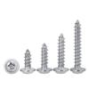 304 Stainless Steel Pan Head Self-Tapping Screws with Washer