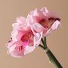 4 Bundles Artificial Phalaenopsis Flower Real Touch Large Fake Orchids Flowers Stem for Vase Home Wedding Party Decor
