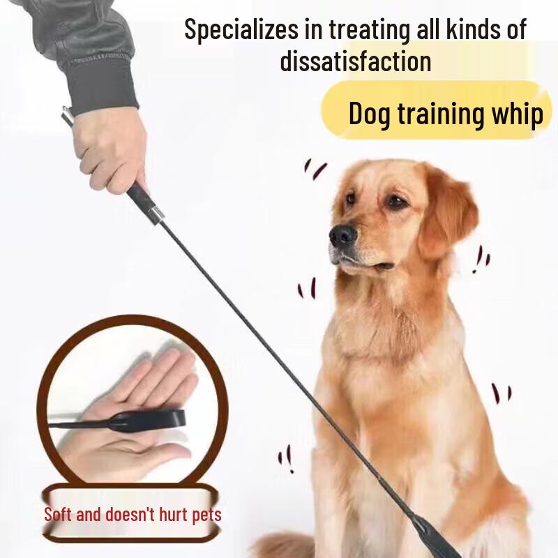 SuHuaWei Professional Dog Training Equipment