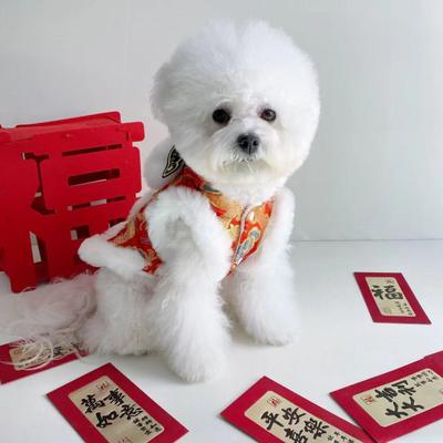 Lion Dance Dog Coat Chinese New Year Pet Costume Embroidered Dog Hoodie Warm Winter Clothes for Small Dogs Cats Spring Festival Apparel