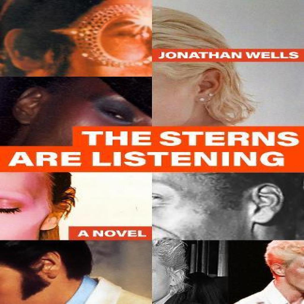 The Sterns Are Listening by Jonathan Wells Hardback Book 9781736309377