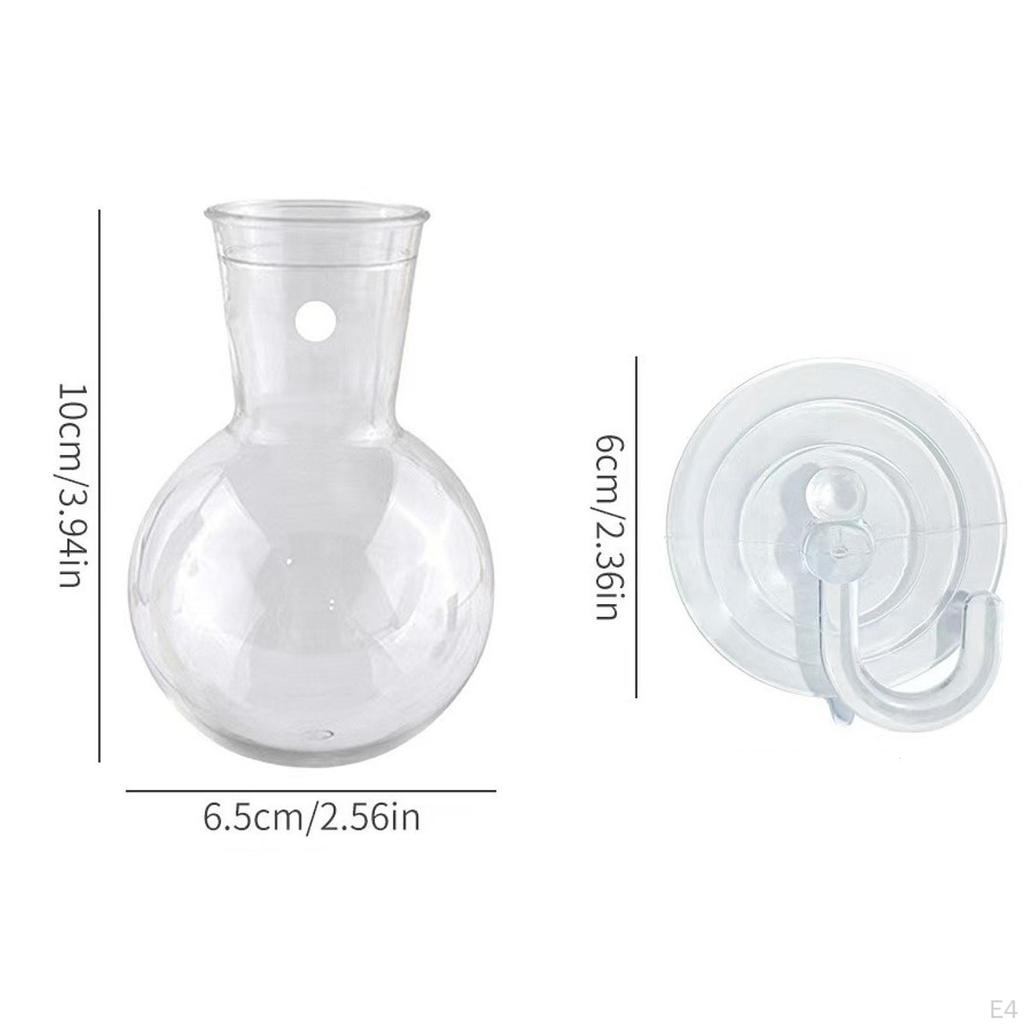 Cultivation, Plant Propagation Bulbs with Suction Cup Hook, Hanging Transparent Vase Container for