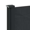 Retractable Side Awning Black 220 x 300 cm