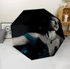 Euphoria (5) Umbrella Sturdy Frame Suitable for Outdoor Activities Beach Travel Ideal Gift for All Seasons
