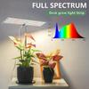Auto Timed LED Plant Grow Light Indoor Plants Full Spectrum Lamp Adjustable Height High Brightness Desk Grow Lamp