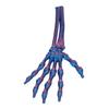3D Printed Halloween Skeleton Hand Realistic Looking Widely Used Fake Human Hand Party Terror Scary Props Decoration