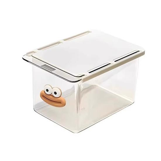 Storage Rack Smooth Pull Transparent Visual Slide Rail Buckle