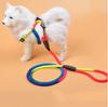 New Small dog outdoor training with a new type of solid dog leash pet with nylon cat chain traction Chihuahua accessories
