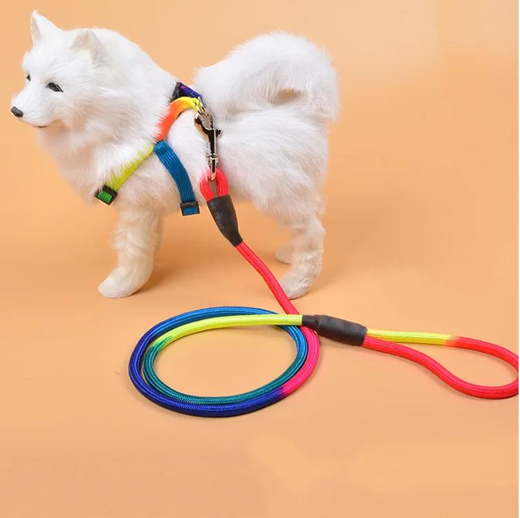 New Small dog outdoor training with a new type of solid dog leash pet with nylon cat chain traction Chihuahua accessories