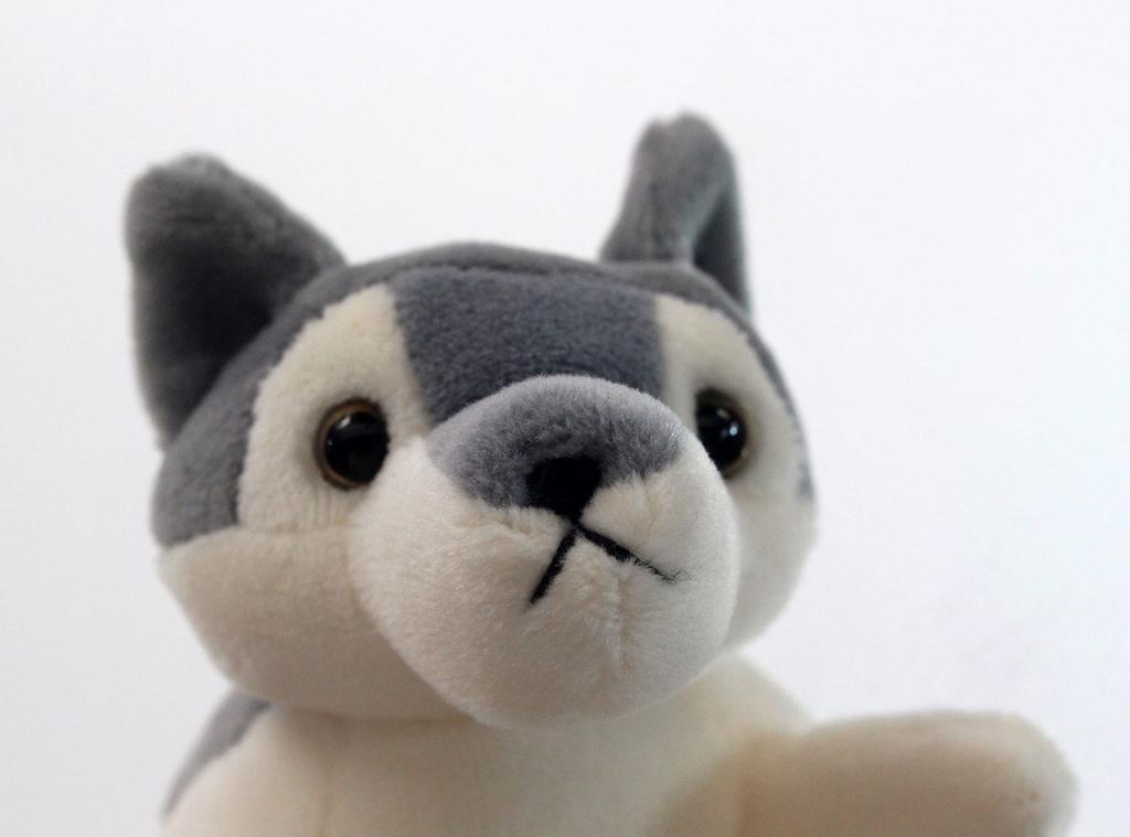 Take Off Pokepuni Wolf