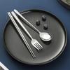 304 Stainless Steel Chopsticks and Spoon Set with Case