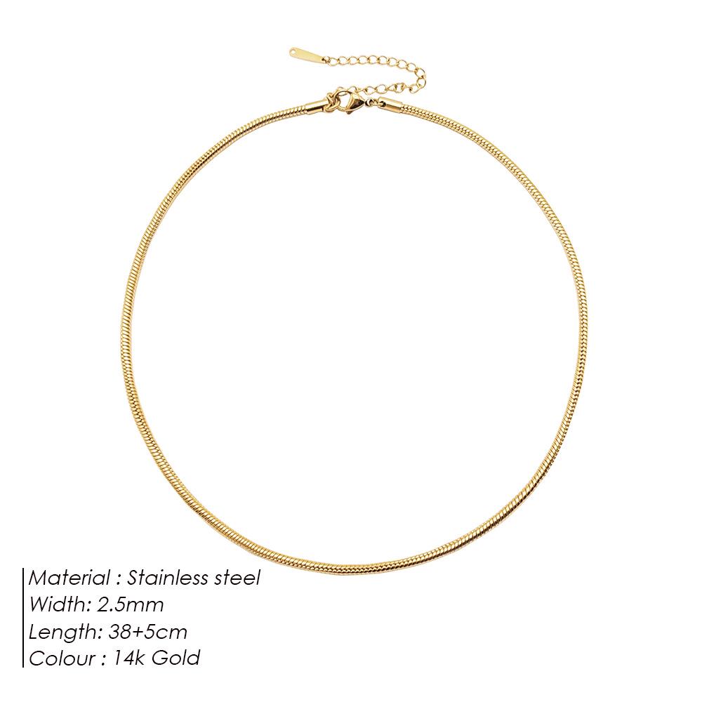 eManco Titanium Steel Round Chain Necklace - Simple European/American Style for Women and Couples, Long Snake Bone Chain, Clavicle Design.