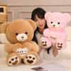 Cartoon Hug Bear Doll Plush Toy Love Hug Bear Doll Girl Rag Doll Birthday Gift