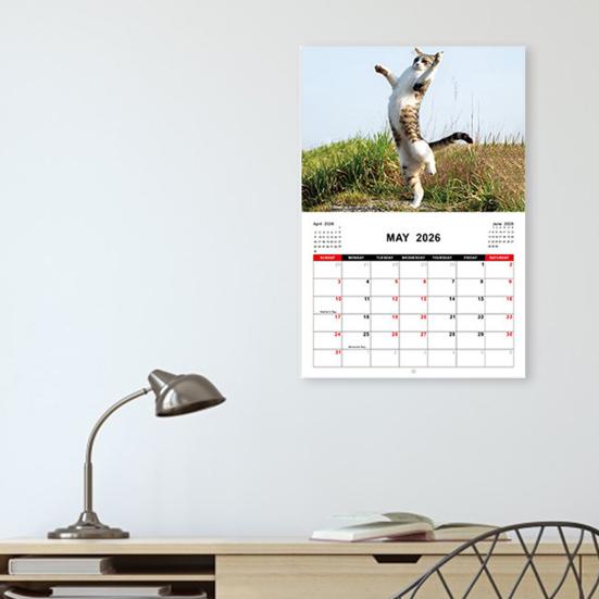 

2026 Calendar January 2026 - December 2026 12 Monthly Planner Kung Fu Cat Wall Calendar for Home Office Dormitory Decor A